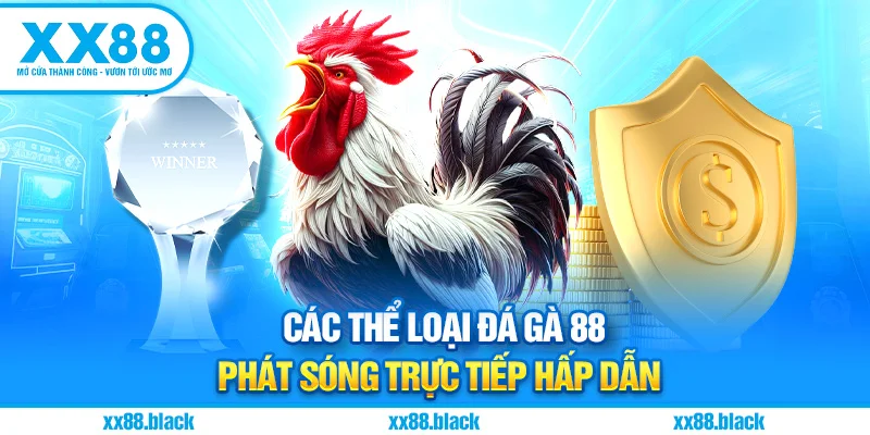 Các thể loại đá gà 88 phát sóng trực tiếp hấp dẫn