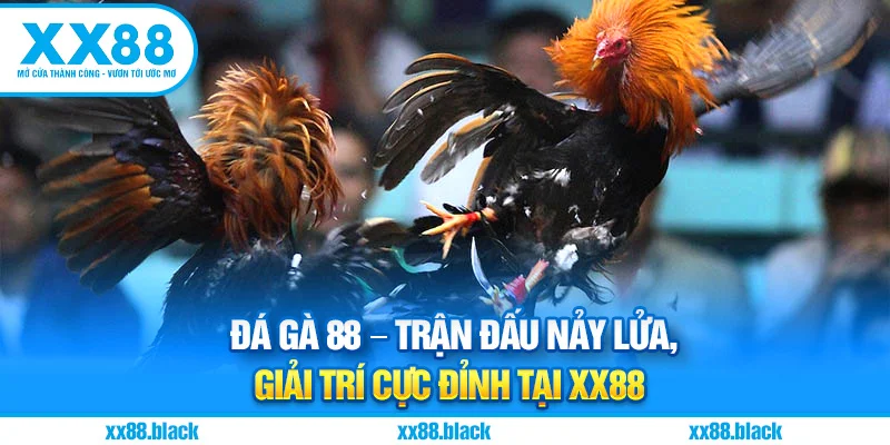 Đá Gà 88 – Trận Đấu Nảy Lửa, Giải Trí Cực Đỉnh Tại XX88
